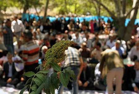 آداب و رسوم محلی ،رسوم مردم قزوین رسوم مردم قزوین , میوه های سماق