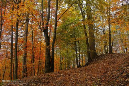 عکس های طبیعت زیبا و پاییزی اسالم در استان گیلان عکس های طبیعت زیبا و پاییزی اسالم در استان گیلان