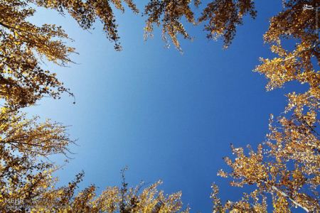 عکس های طبیعت زیبا و پاییزی اسالم در استان گیلان عکس های طبیعت زیبا و پاییزی اسالم در استان گیلان
