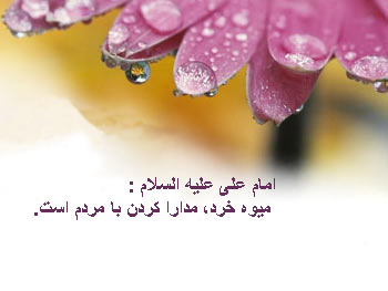 حدیث درباره مدارا کردن حدیث, مدارا کردن, حدیث درباره مدارا کردن