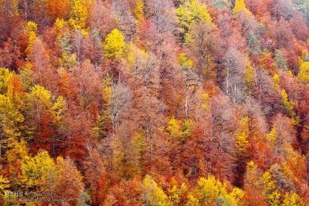 عکس های طبیعت زیبا و پاییزی اسالم در استان گیلان عکس های طبیعت زیبا و پاییزی اسالم در استان گیلان