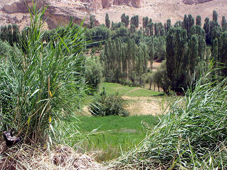تنگه واشی در 17 کیلومتری شهر فیروز کوه تنگه واشی،تصاویر تنگه واشی