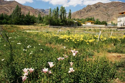 جاهای دیدنی طالقان طالقان,طبیعت طالقان,عکس طالقان