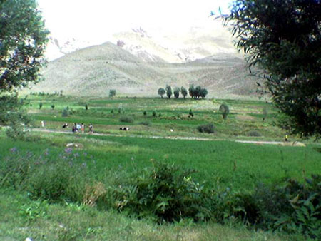 تنگه واشی تنگه واشی, تنگه واشی کجاست