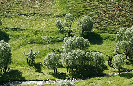 عکس دره لیقوان،عکس های دره لیقوان تصاویر روستای لیقوان,روستای لیقوان کجاست