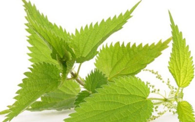 علایم کم خونی،عوارض کم خونی بیماری کم خونی,درمان کم خونی,کم خونی فقر آهن