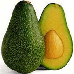 میوه آووکادو میوه آووکادو