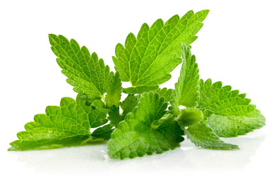 ورم معده و درمان آن،داروی ورم معده رژیم غذایی ورم معده,علائم ورم معده ودرمان آن