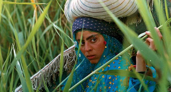 همه فیلمهای ایران در اسکار همه فیلمهای ایران در اسکار