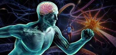 فواید ورزش کردن،فواید ورزش در زندگی کنار گذاشتن ورزش