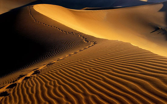 زیباترین صحراهای جهان زیباترین صحراهای جهان