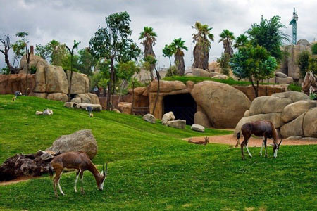 باغ وحش, باغ وحش بیوپارک والنسیا, بهترین باغ وحش های دنیا باغ وحش, باغ وحش بیوپارک والنسیا, بهترین باغ وحش های دنیا