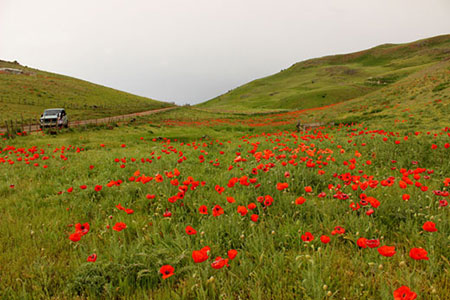 سفره خانه سنتی سوباتان،سوباتان گیلان سوباتان,تور سوباتان