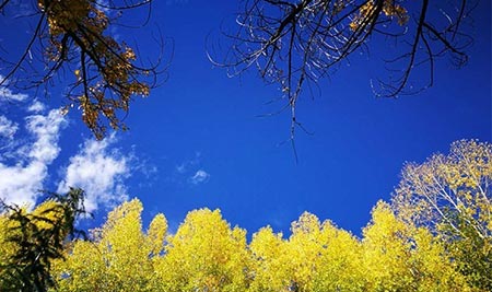 تبت،تبت در غرب چین جاهای دیدنی چین,مکانهای تفریحی چین