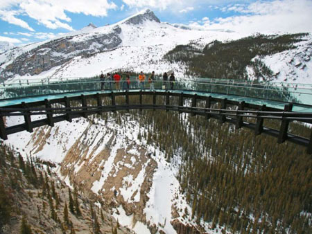 پیاده روی,Skywalk,یخچال طبیعی کانادا پیاده روی,Skywalk,یخچال طبیعی کانادا