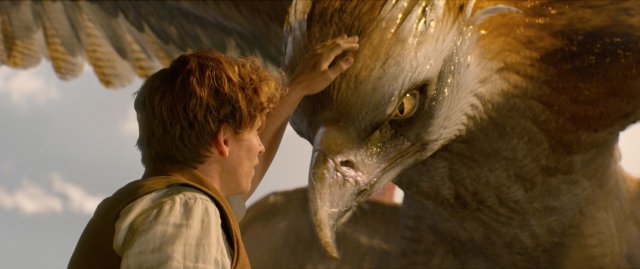 http://moviemag.ir/images/newsread/1395/09/02/mU1479775088.jpg