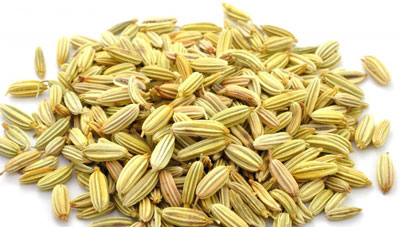 رازیانه،خواص رازیانه گیاهان دارویی