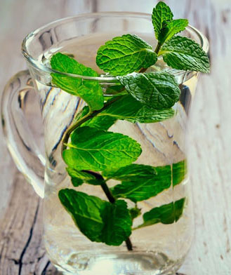 نعنا،خواص نعنا گیاهان دارویی