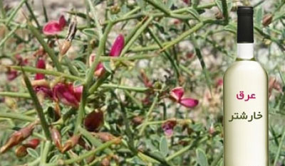 خارشتر،خواص خارشتر گیاهان دارویی