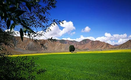 تبت،تبت در غرب چین جاهای دیدنی چین,مکانهای تفریحی چین
