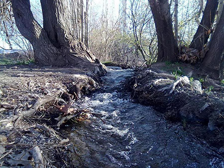 سبزوار،آبشار برغمد در سبزوار جاهای دیدنی سبزوار,مکانهای تفریحی سبزوار