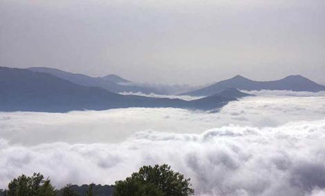 زیباترین جنگل های ایران,جنگل ابر تشکیل جنگل های ابر,زیباترین جنگلهای ابر