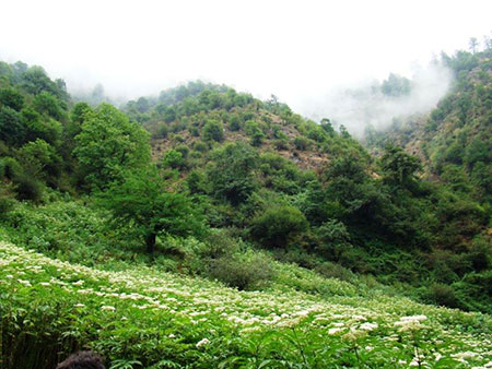 دیدنی های فومن،مکانهای تفریحی فومن مکانهای تفریحی فومن,شهرستان فومن