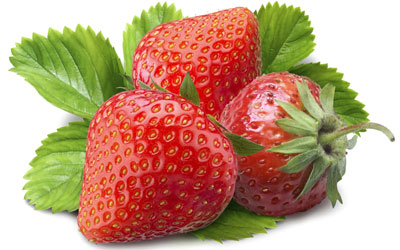 استرس،داروی استرس گیاهان دارویی برای استرس