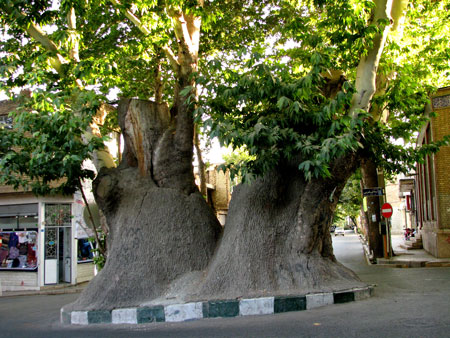 دیدنی های محلات,مکانهای تفریحی محلات,گردشگری محلات,جاهای دیدنی محلات,جاذبه های گردشگری محلات