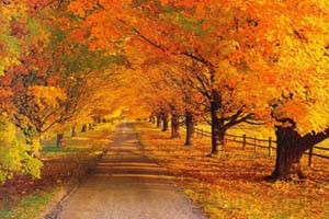عکس های زیبا از طبیعت پاییزی شهر ییلاقی شاندیز مشهد عکس های زیبا از طبیعت پاییزی شهر ییلاقی شاندیز مشهد