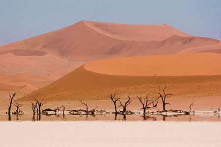 پارک مُرده Namib-Naukluft عجیب ترین مکانهای گردشگری,جاذبه های گردشگری عجیب غریب