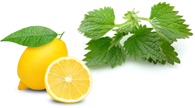 درمان کم خونی،داروی کم خونی علل کم خونی,علت کم خونی,داروی گیاهی برای کم خونی