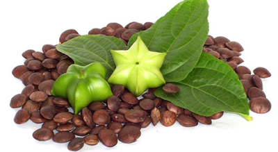 خاصیت دانهی «سه چا اینچی»(sacha Inchi)،دانهی «سه چا اینچی»(sacha Inchi) خواص درمانی دانهی «سه چا اینچی»(sacha Inchi)