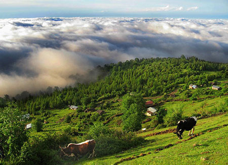 عکسهای مازیچال،روستای مازیچال کلاردشت مازیچال,تصاویر مازیچال