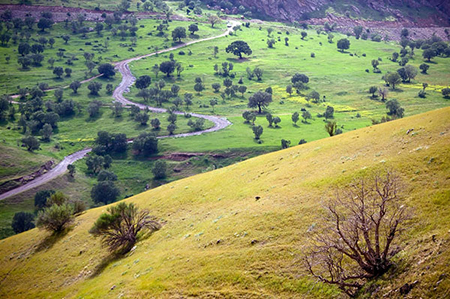 تصاویر روستای اورامانات عکس اورامانات,عکس روستای اورامانات
