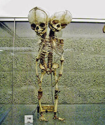 موزه,موزههای عجیب غریب دنیا,موزه آثار هنری موزه,موزههای عجیب غریب دنیا,موزه آثار هنری