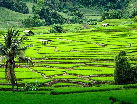جاذبه های گردشگری تایلند،دیدنی های تایلند مکانهای تفریحی تایلند