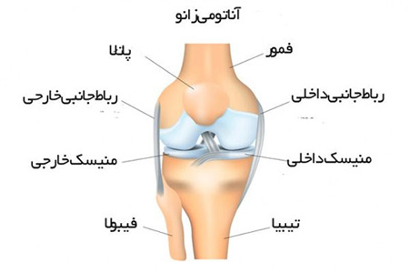 طب سنتی درد زانو،نشانه ی درد زانو مفصل ساق زانو, درد زانو