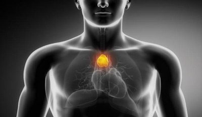 مواد غذایی مضر برای کم کاری تیروئید،غذا برای رفع کم کاری تیروئید علایم کم کاری تیروئید, درمان کم کاری تیروئید