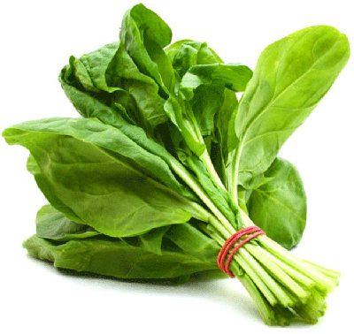 اسفناج،خواص اسفناج فواید اسفناج, خاصیت اسفناج