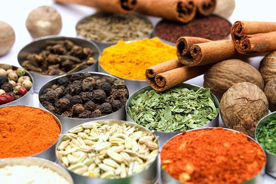 لاغری گیاهی به سبک بازیگران سینما