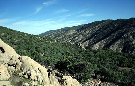 تنگه ارغوان در استان ایلام تنگه ارغوان در استان ایلام