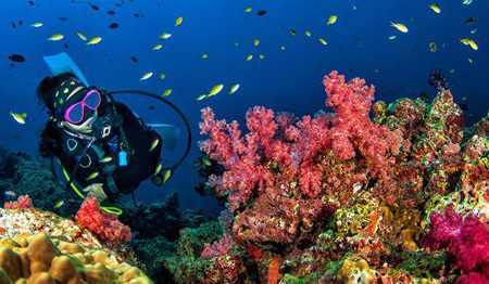 جاذبه های گردشگری ترکیه ترکیه,جاهای دیدنی ترکیه