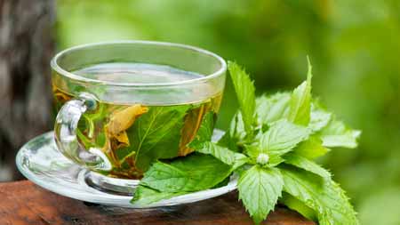 چای سبز در بارداری,مصرف چای سبز در بارداری خاصیت گیاه چای سبز