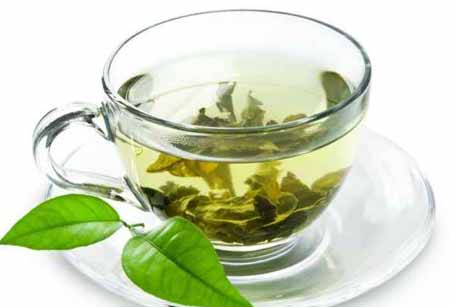 چای سبز در بارداری,مصرف چای سبز در بارداری خاصیت گیاه چای سبز