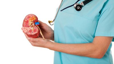 درد کلیه، بیماریهای کلیه بهترین خوراکی برای تقویت کلیه, راههای تقویت کلیه ها