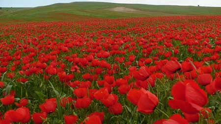 مناطق سیاحتی ایران, جاذبه های گردشگری ایران, مکانهای تفریحی ایران مناطق سیاحتی ایران, جاذبه های گردشگری ایران, مکانهای تفریحی ایران