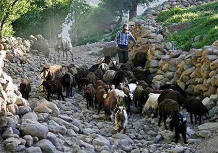 معرفی روستای لیقوان لیقوان,روستای لیقوان,معرفی روستای لیقوان