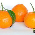 خواص نارنگی, Tangerine, Tangerine properties, ارزش تغذیه ای نارنگی, خواص نارنگی, موارد مفید مصرف نارنگی, نارنگی