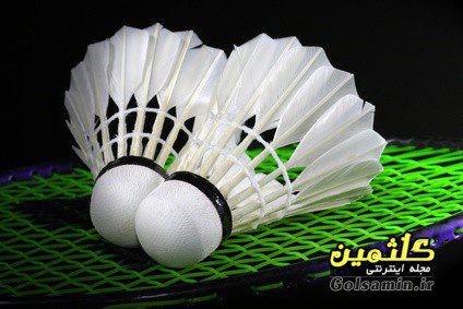 تاریخچه بدمينتون, History of Badminton